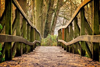 Brücke in einem Park, herbstlich