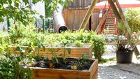Bepflanzte Hochbeete an der Kita FreiRaum des Kinderschutz München