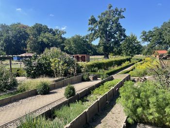 Garten Gut Priemern, Foto: Gut Priemern