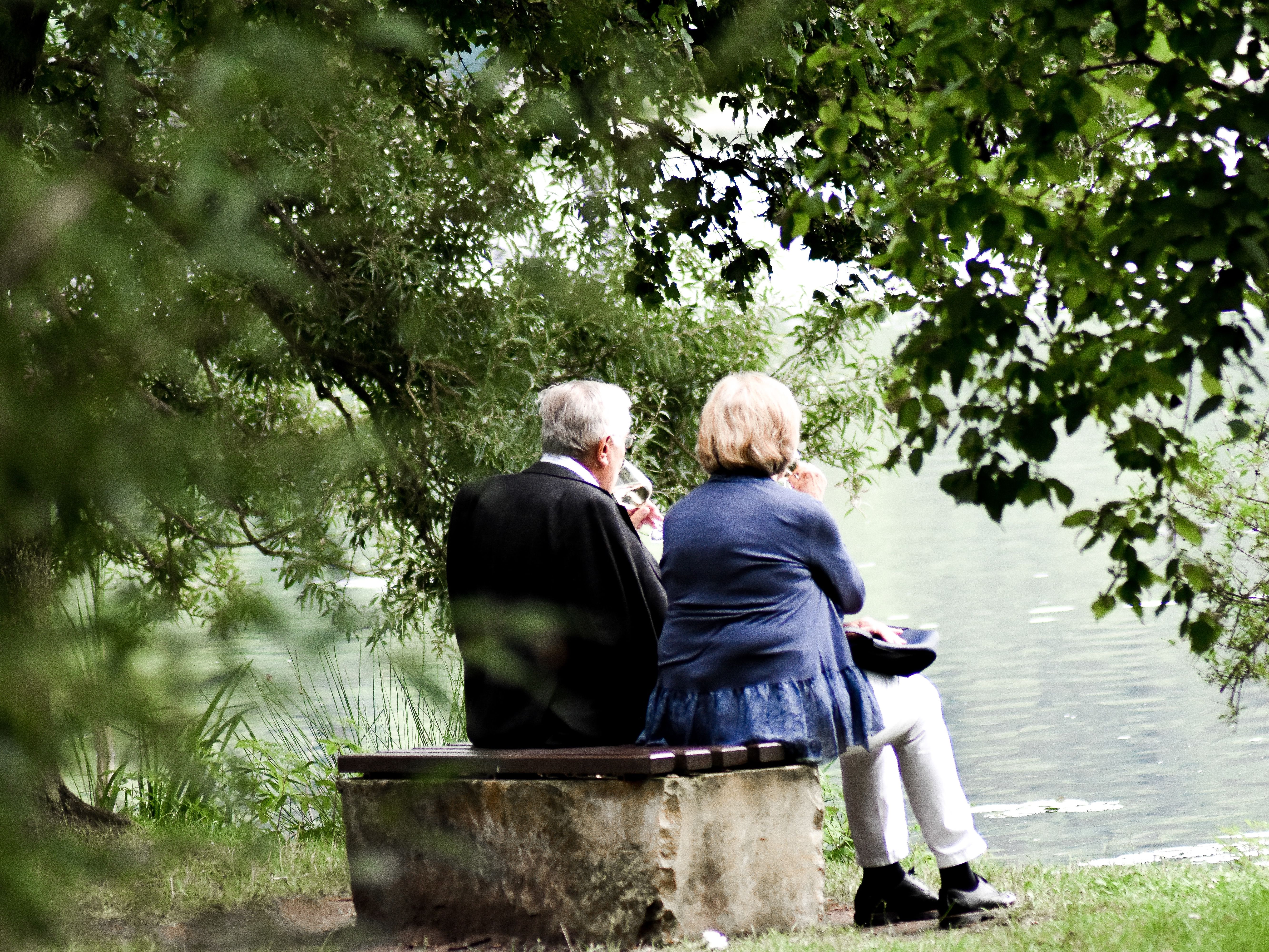 Ein altes Paar sitzt auf einer Bank unter einem Baum