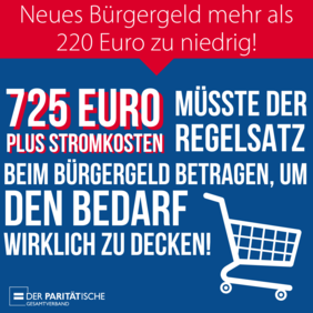 Grafik: Einkaufswagen. Dazu Text: Neues Bürgergeld mehr als 220 Euro zu niedrig! 725 Euro plus Stromkosten müsste der Regelsatz beim Bürgergeld betragen, um den Bedarf wirklich zu decken.