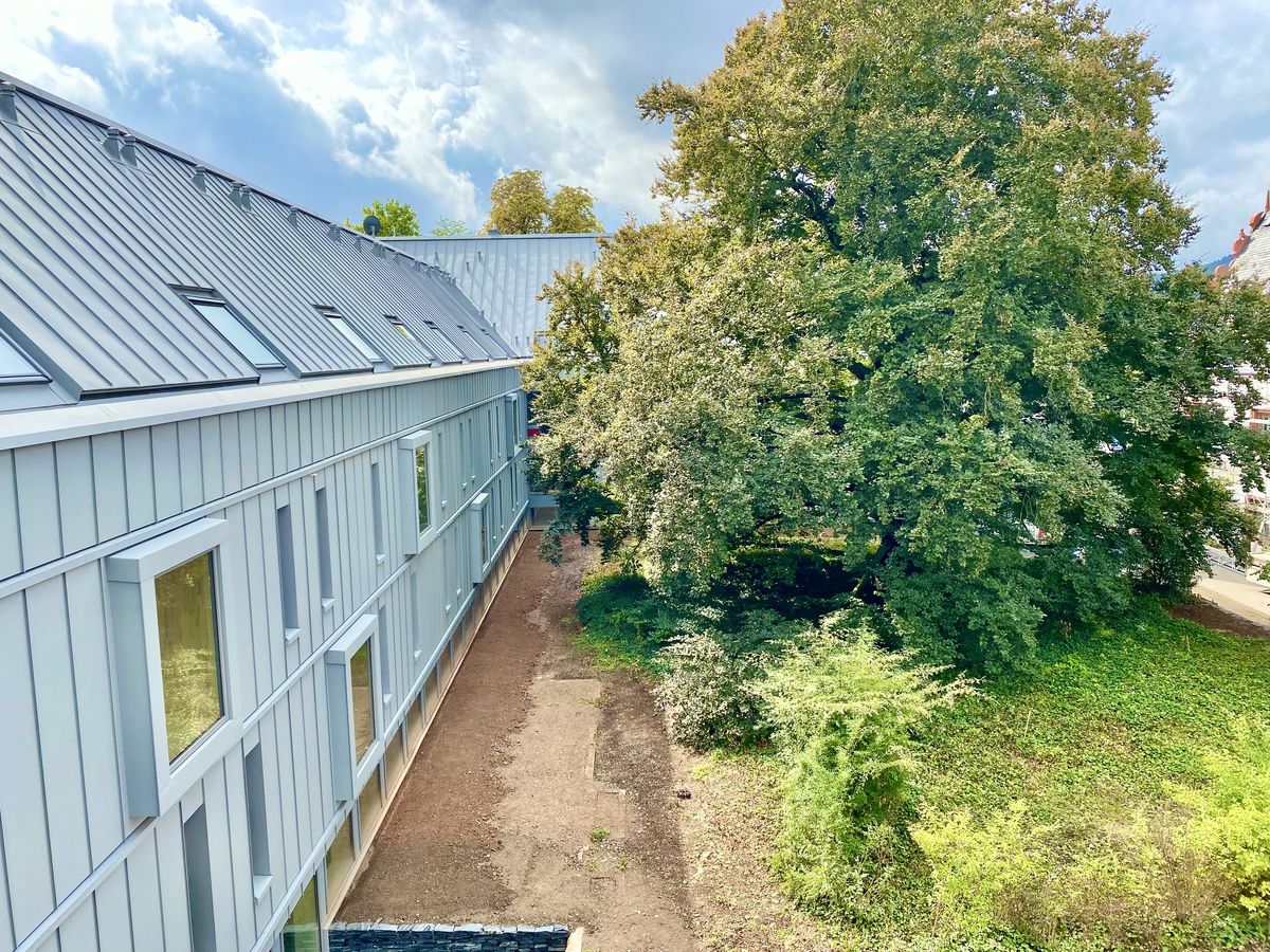 Links ist der Neubau des Wohnheimes zu sehen. Rechts davon steht die große, alte Blutbuche.