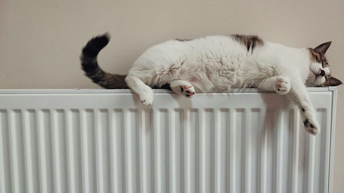 Eine Katze liegt gemütlich auf einer Heizung