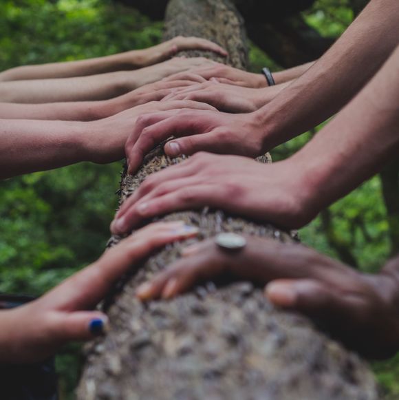 Auf einem Baumstamm haben Jugendliche unterschiedlichster Hautfarben ihre Hände nebeneinander abgelegt.