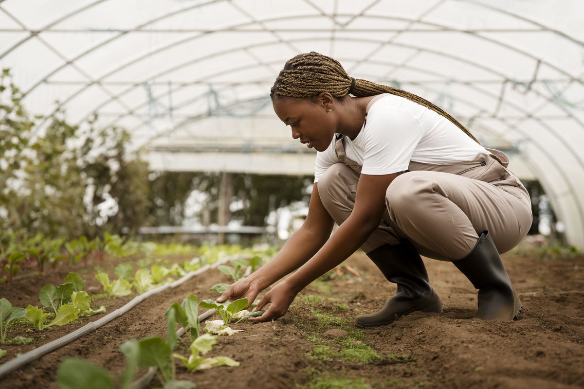 Das Bild zeigt eine junge Schwarze Frau, die sich in einem Gewächshaus um Pflanzen kümmert