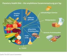 Die Grafik zeigt die empfohlene Zusammensetzung der Mahlzeiten nach der Planetary Health Diet.