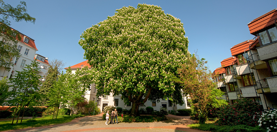 Stadtteilhaus St. Remberti